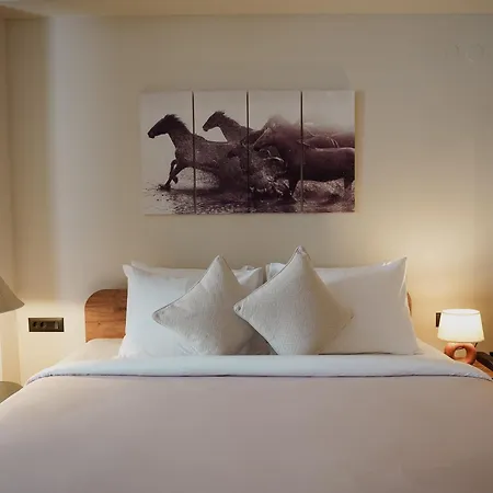 Hotel Zyra Boutique 4*